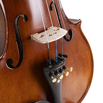 VANETTA VL-5 / 1/2 Masif Keman (Abanoz Burgu ve Aksam)